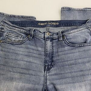 Cody James Jeans Men's Size 40x32 Western Cowboy Country Straight Leg Denim Blue